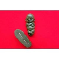 ราคา กุมารนอนเรียกทรัพย์ หลวงพ่อยศ อกิญจโน วัดป่าบ้านสังข์ จ.ร้อยเอ็ด กุมารนอนเรียกทรัพย์หลวงพ่อยศได้ปลุกเสกกลางป่าช้าเรี (19923602283)