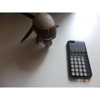 ราคา ขายเคส Apple แท้ iPhone 5c (2385624479)