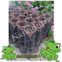 ราคา ที่ดักกบ กรงดักกบ ไซดักกบ ลอบดักกบ 2 ทางเข้า (7934499312)