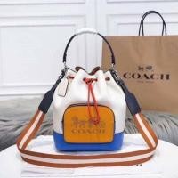 ราคา coach bucket bag กระเป๋าทรงขนมจีบ งานออริ (9510419079)