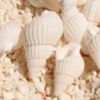 ราคา หอยสังข์ตกแต่งภูมิทัศน์ไมโครทําเองภูมิทัศน์แพลตฟอร์มมินิตู้ปลาสติ๊กเกอร์ติดผนังธรรมชาติเปลือกขนาดเล็กสังข์ GCZI (43474822609)