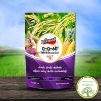 ราคา ☘️เกล็ดหงส์ 0-0-60 ขนาด 1 กิโลนำเข้าจากอิสราเอล ☘️ สูตรเพิ่มน้ำนมเพิ่มน้ำหนัก เพิ่มแป้ง ขยายผล ทนโรค (22390576536)