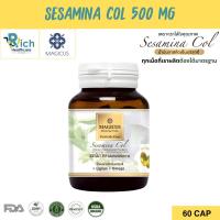 ราคา Magicus Sesamina Col 500mg (Cold Press Sesame Oil) มาจิคัส เซซามินา โคล น้ำมันงาดำสกัดเย็นบริสุทธิ์ ออร์แกนิค 60 Cap (43611124542)