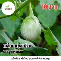ราคา เมล็ดมะเขือเปราะ บรรจุ 50 เมล็ด (55350382751)
