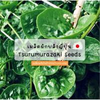 ราคา เมล็ดผักปลังญี่ปุ่น Tsurumurazaki seeds 40-80 เมล็ด เมล็ดอัตราการงอกสูง (42221344048)