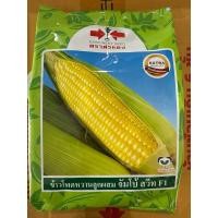 ราคา ข้าวโพดหวาน จัมโบ้สวีท (28125521702)