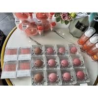 ราคา IN2IT Sheer Shimmer Blush (21346618220)