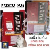 ราคา SN Maxima Cat Food 15 Kg แม็กซิม่า ขนาด 15 กิโลกรัม 1 กระสอบ (43453301563)