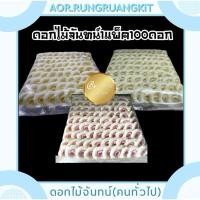 ราคา ดอกไม้จันทน์ ช่อเชิญดอกไม้จันทน์ (24559128896)