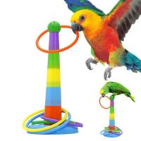 ราคา ห่วงฝึกนก ของเล่นนก ของเล่นนกแก้ว ห่วงสำหรับนกแก้ว ฟอพัส หงส์หยก นกกรงหัวจุก เลิฟเบิร์ด ค็อกคาเทล คอนัวร์ กรีนชีค (29421852705)