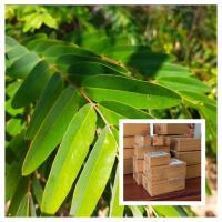 ราคา ใบขี้เหล็กสดทำยา เก็บใหม่ตามออเดอร์500กรัม50บาท (15770524609)