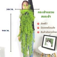 ราคา ต้นไม้ปลอม ต้นไม้ปลอมแขวน ตกแต่งบ้าน กระเช้าเฟิร์นจัดสำเร็จ กระเช้าแขวนสนระย้า พร้อมส่ง (4192805899)