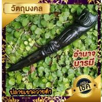 ราคา เสือนั่งเขี้ยว#งานแกะสลักปลายเขาควายดำ (8693703012)