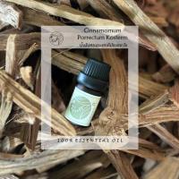ราคา น้ำมันหอมระเหยเทพทาโร ชานาญา CHANAYAR Cinamomum 100% Essential oil (26256519154)
