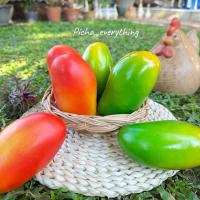 ราคา [พร้อมส่ง]มะม่วงมะม่วงปลอม ผลไม้ปลอม (12379691558)