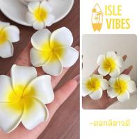 ราคา ISLE VIBES เครื่่องประดับผู้หญิง กิ๊บติดผมน่ารักๆ กิ๊บดอกไม้ ❤️ เครื่องประดับหลายสีหลายสไตร์ Y001 (42667588740)
