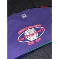 ราคา (G) เสื้อยืด สีม่วงอ่อน Valleyball - Port & Company มือสอง ราคาถูก พร้อมส่ง (29761805197)