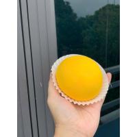 ราคา บน โมเดลขนมจีบเหลือง 8ซม โมเดลขนมจีบทอง (51051659857)