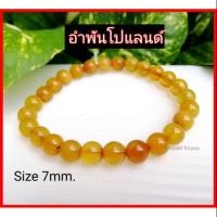 ราคา อำพันแท้ "Amber" ปท.โปแลนด์ (4536418939)