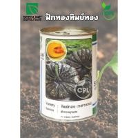 ราคา ฟักทองลูกผสม ทิพย์ทอง ซีดไลน์ (25637184693)