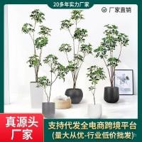 ราคา แหล่งต้นไม้ปลอมจําลองเป็ดเท้าไม้พืชสีเขียวเครื่องประดับจําลองขายส่งทะเลสายรุ้งผู้ผลิตตกแต่งพืชใน (43726475967)