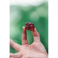 ราคา พุทราจีนเชื่อมไร้เมล็ด พุทราจีนแช่อิ่ม หวานน้อย กรอบ อร่อย (24226395197)