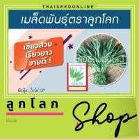 ราคา เมล็ดพันธุ์ ถุง 1 กก. ผักบุ้งจีนใบไผ่ ตราลูกโลก Chinese Convolvulus (908000846)