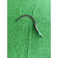 ราคา เคียวเกี่ยวข้าวช่างชุมรุ่นเล็ก,ใช้เกี่ยวหญ้า,เกี่ยวข้าวใช้งานได้คมเป็นอย่างดี (43161183514)