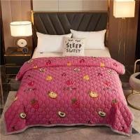 ราคา ผ้านวมใยไหมกำมะหยี่ 7 ฟุต ขนาด 200x230 cm (10906225051)