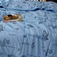 ราคา ผ้านวมใยไหมเกรดพรีเมี่ยม ขนาด 7ฟุต (4806122846)