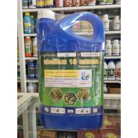 ราคา ฟอร์ซิเนต กลูโฟซิเนต 4 ลิตร น้ำสีฟ้า ตราหงษ์ใบไม้ (28570241276)