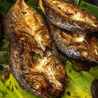 ราคา ปลาทูแขก ผ่าซีก แดดเดียว ทานได้ทั่งตัว 1 กิโล ทอด/ย่างถ่านฟรี อร่อยไม่เค็มมาก ราคาถูกมากสั่งเลย คุ้มแน่นอน (5435118912)