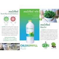 ราคา ผลิตภัณฑ์เสริมอาหารชนิดน้ำคลอโรฟิลล์เข้มข้น CHLOROPHYLL PLUS (19784190278)