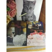 ราคา เพลิงแค้น เพลิงพิศวาส / รักร้ายใจพยศ / ลิขิตร้ายพ่ายเสน่หา / ไฟรักมายาลวง โดย ปานตะวัน (27351242940)