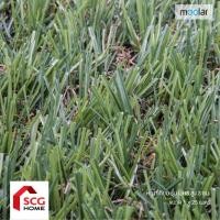 ราคา Moolar หญ้าเทียม สูง 3 ซม. รุ่น UR3 (41913899866)