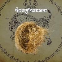 ราคา [MA3]-1ช้องหมูป่า ขนหมูป่าโทน มีลักษณะทรงกลมเป็นของทนสิทธิ์หมูตัวไหนมีก็จะทำให้ไม่สามารถที่จะทำอันตรายได้คงกระพันชาตรี (22371761930)