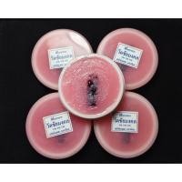 ราคา สีผึ้งมหาลาภ เมตตา มหาเสน่ห์ ฝั่งอิ่นและตะกรุดเงิน ครูบาพิรุณ วัดชัยมงคล เชียงใหม่ ปี2567 (43804647827)