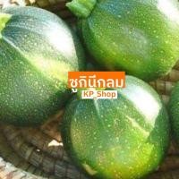 ราคา เมล็ดพันธุ์ ซูกินีกลม 12 เมล็ด (7377470658)
