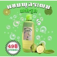 ราคา แชมพูสระผม มะกรูด ขนาด 250ml. (3020067933)
