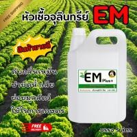 ราคา หัวเชื้อ จุลินทรีย์ อีเอ็ม EM Plus+ ชีวภาพ ขนาด 5 ลิตร ส่งฟรี (49001659993)