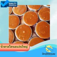 ราคา น้ำตาลโตนดแว่นใหญ่ 500 กรัม น้ำตาลแว่น น้ำตาลโตนด (40058047815)