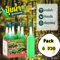 ราคา ปุ๋ยน้ำสูตรพิเศษ แพ็ค6ขวด *พร้อมส่ง* ปุ๋ยน้ำ ปุ๋ยปัก ปุ๋ยหยด ปุ๋ยไฮโดรโปรนิกส์ เร่งดอก เร่งราก ปุ๋ยไม้ใบ ปุ๋ยไม้ดอก (7493979170)