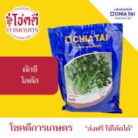 ราคา ผักชี โลตัส เมล็ดพันธุ์ ผักชี ตราเจียไต๋ บรรจุ 300 กรัม (46400761478)