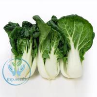 ราคา เมล็ดบ๊อกฉ่อย เบบี้บ๊อกฉ่อย ผักกวางตุ้งฮ่องเต้ก้านขาว Pakchoi / Bokchoi (25939625511)