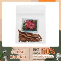 ราคา เมล็ดชวนชมยักษ์ญี่ปุ่นลูกผสม 1 ซอง บรรจุ 50 เมล็ด (3895350490)