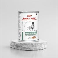 ราคา Royal Canin VET Diabetic Dog Wet Food อาหารเปียก สุนัข โรคเบาหวาน 1 กระป๋อง รอยัลคานิน (25476638320)