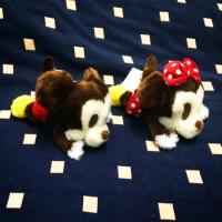 ราคา Mickey & Minnie (23388885)