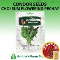 ราคา ◾: มะละกอ/รองเท้า/ทานตะวัน/เสื้อ/สวน/หมวก/กางเกง/ สวน/กุหลาบ/แม่และเด็ก/ 6CPS (23117248658)