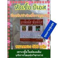 ราคา หัวเชื้อจุลินทรีย์บีเอส (บาซิลลัส ซับทีลิส) ชีวภัณฑ์ปลอดสารพิษ ป้องกัน/กำจัดเชื้อรา โรคกุ้งแห้ง แคงเกอร์ ขนาด 500 กรัม (9104355923)