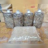 ราคา เชื้อเห็ดฟาง 4 ก้อน พร้อมอาหารเสริมถุงใหญ่ และคู่มือเพาะ (24808640925)